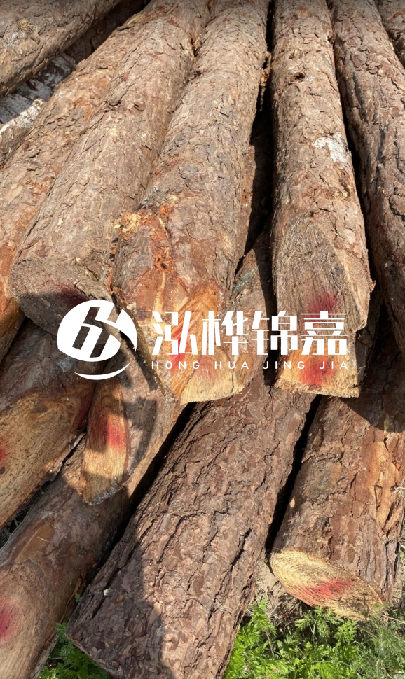 <strong>松木樁和杉木樁的用途區(qū)別？哪個更適合打樁用？</strong>