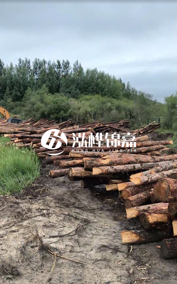 甘肅河道清淤工程公司-為什么要進行河道清淤？