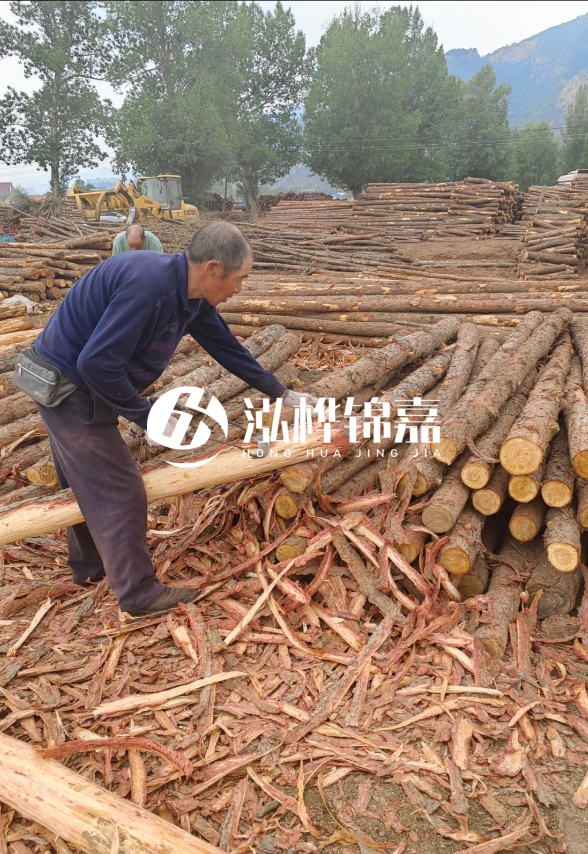 東營(yíng)河道清淤專業(yè)施工隊(duì)-不同型號(hào)挖機(jī)清淤能力對(duì)比？