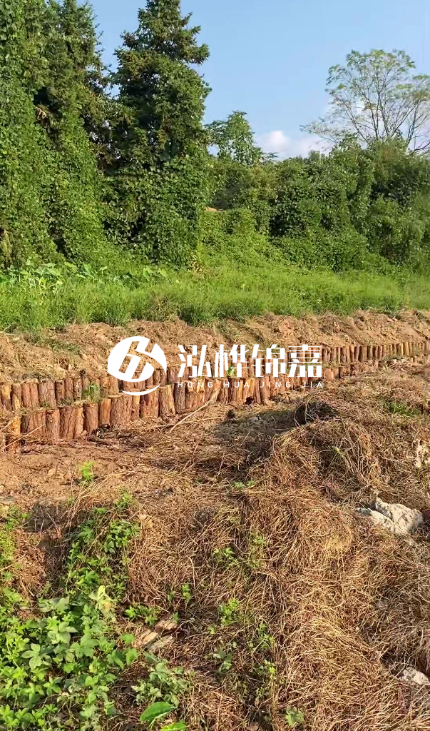 許昌河道清淤專(zhuān)業(yè)施工-河道污水治理要多長(zhǎng)時(shí)間？