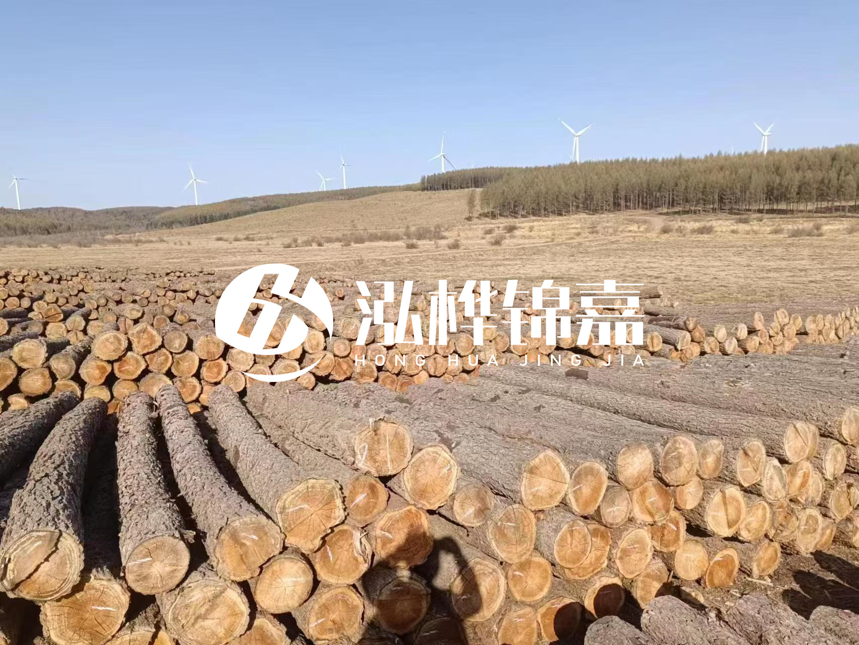 咸寧松木樁源頭廠家-哪里能買(mǎi)到質(zhì)量好的松木樁打樁木？