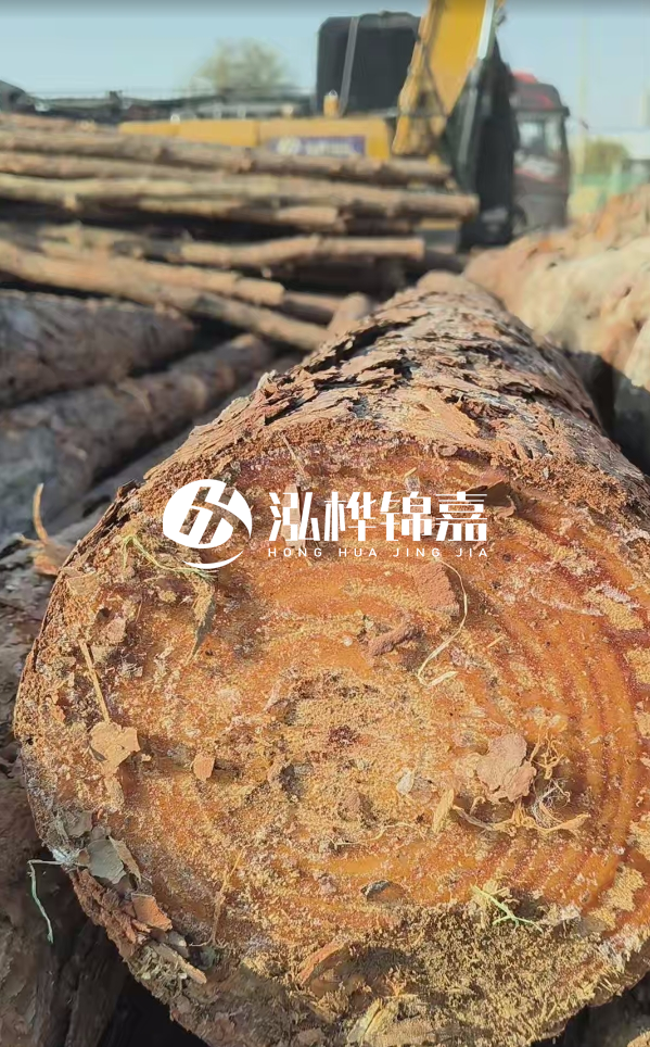 杉木樁價(jià)格多少錢(qián)一方-3米直徑14公分杉木樁價(jià)格？