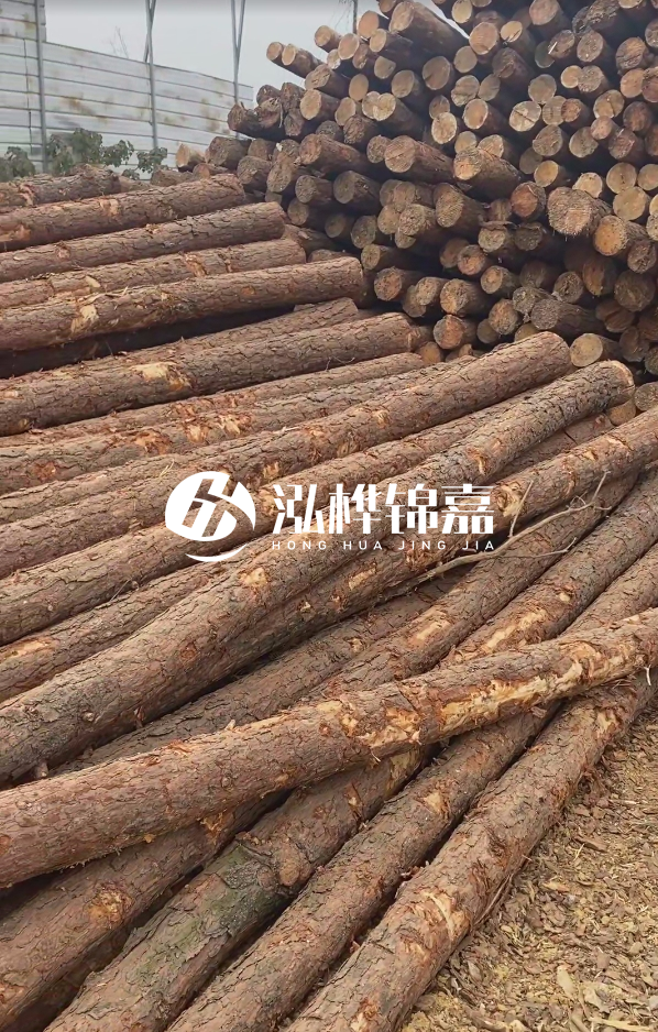 山西河道木樁護(hù)岸價(jià)格多少錢(qián)一米-每米河道打樁要花多少錢(qián)？