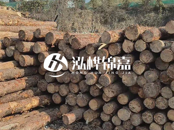 落葉松木材的主要產(chǎn)地在哪里？為什么比其他松木更耐腐蝕？