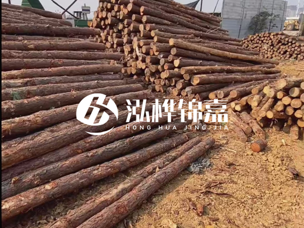 河道木樁施工遇到淤泥怎么辦？打多深才能防沖刷？