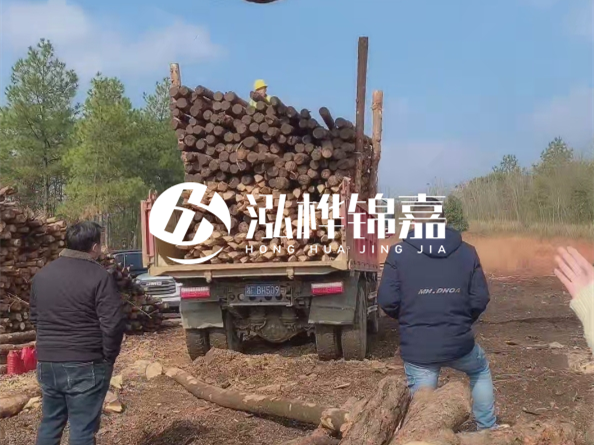 防腐木樁價格比普通木樁貴多少？防腐木樁有哪些處理方式？
