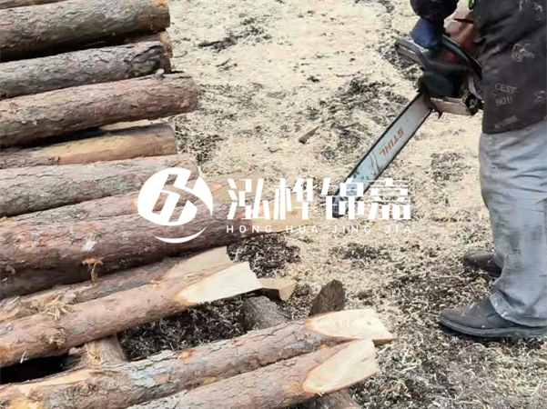 杉木樁批發(fā)廠家哪家好？產(chǎn)地直供渠道推薦！