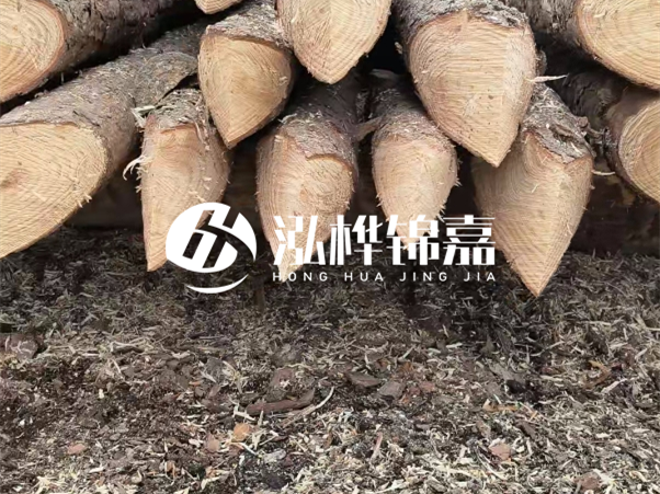 打樁木樁與鋼樁相比有哪些優(yōu)缺點？如何進行后期維護？