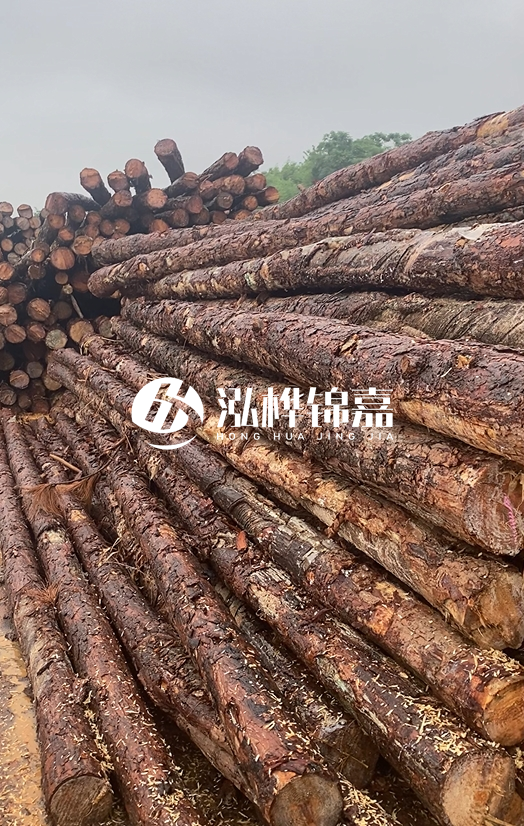 購(gòu)買松木樁注意事項(xiàng)有哪些-不同直徑松木樁區(qū)別有哪些？