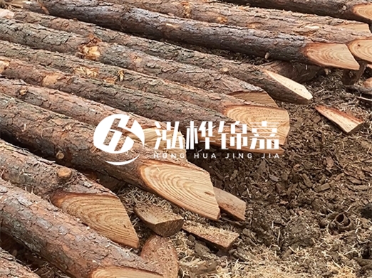 松木樁削尖的費用怎么算？按根收費還是包含在單價里？