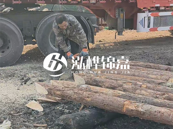 松木圓木價格大概多少一方-松木樁廠家按方可以賣嗎？
