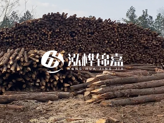 地基打木樁用什么木材 - 地基打木樁的能撐幾年？