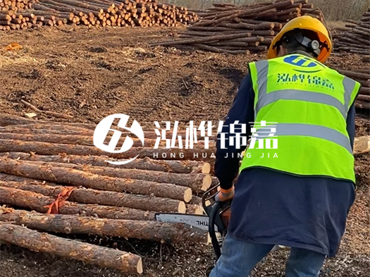 哪些木樁廠家能提供快速定制服務(wù)？哪些木樁廠家在國(guó)內(nèi)有多個(gè)生產(chǎn)基地？