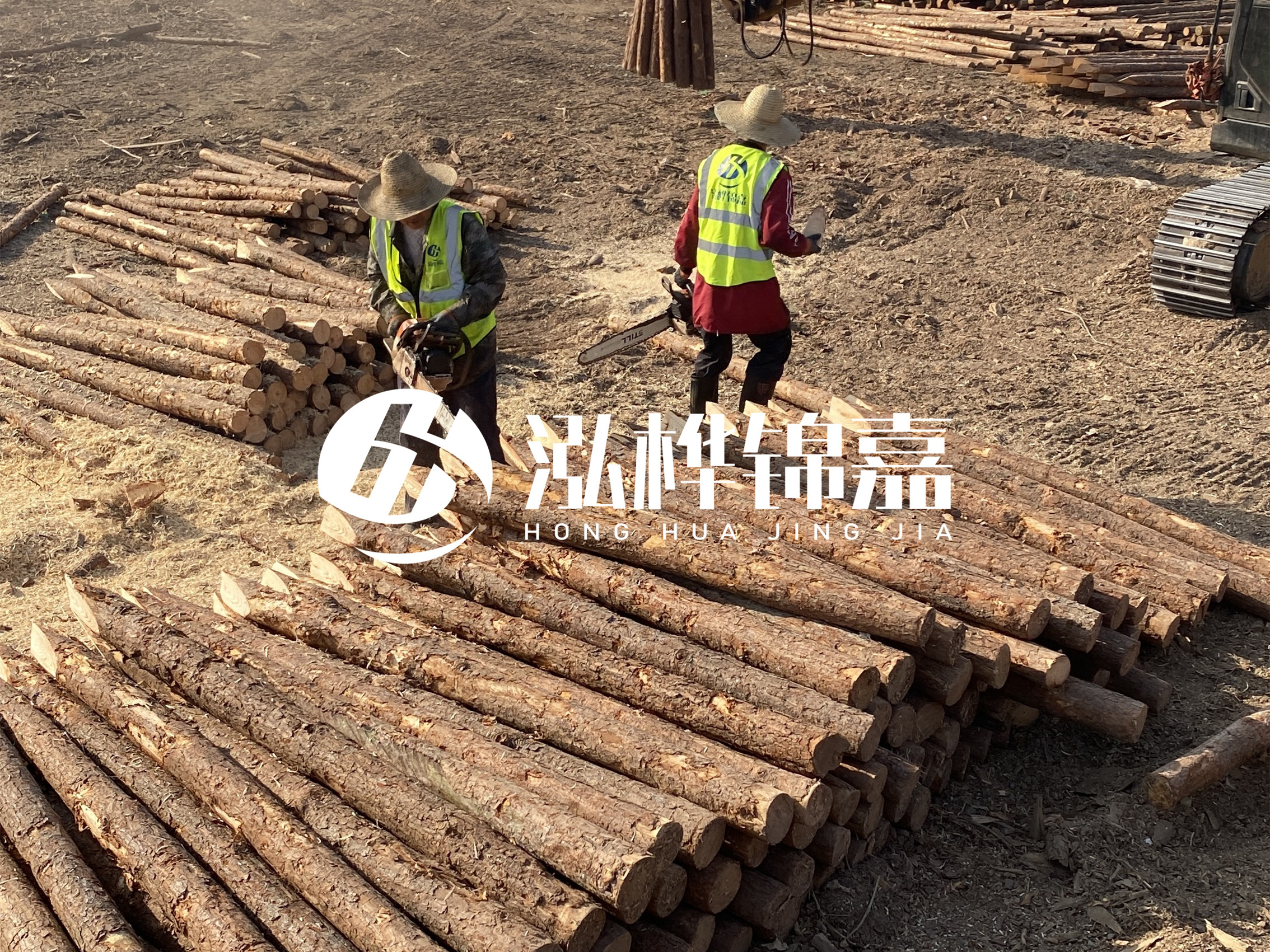 河道木樁報價在汛期前后會有波動嗎？什么時候買最便宜？