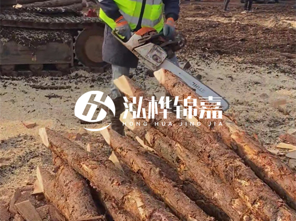 松木樁河道護坡怎么施工？打樁多少錢一根？