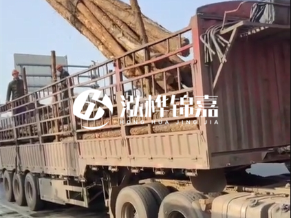 4米長杉木10公分價格-4.5米直徑15cm 杉木多少錢？