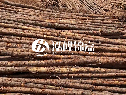 10公分的木材多少根為一方 - 4米10公分樹多少根為一方？