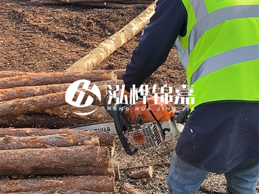 河道打木樁多少錢一根？5米直徑10松木樁打樁多少錢？