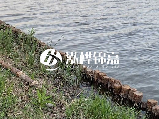 防洪松木樁施工重要性？河道打木樁的位置怎么確定？