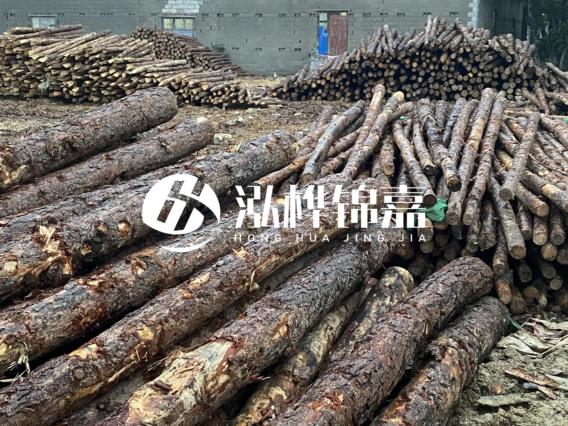 松木樁批發(fā)廠(chǎng)家泓樺錦嘉 - 河道松木樁如何選擇優(yōu)質(zhì)木材？
