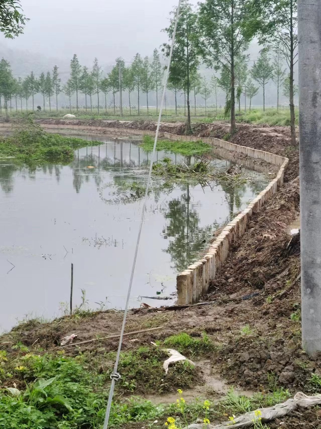 水泥仿木樁施工隊(duì)泓樺錦嘉 - 仿木樁施工多少錢一米？