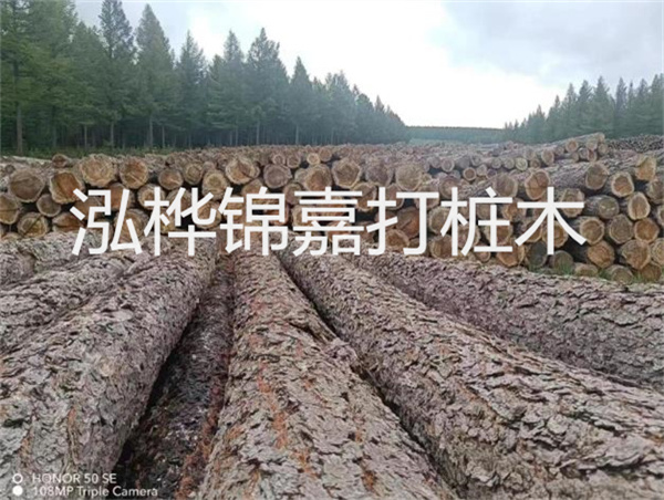 高效施工，圓松木樁助力建筑工程進(jìn)展順利