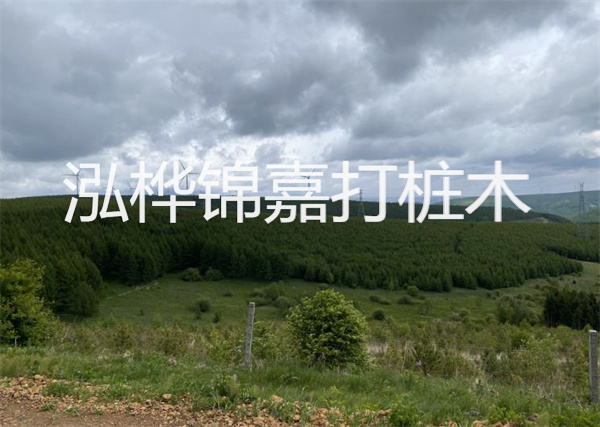 松木樁能重復(fù)施工么？