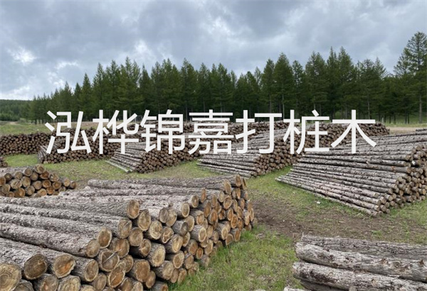 預(yù)制松木樁施工工藝：優(yōu)質(zhì)材料，高效快速，堅(jiān)固耐用