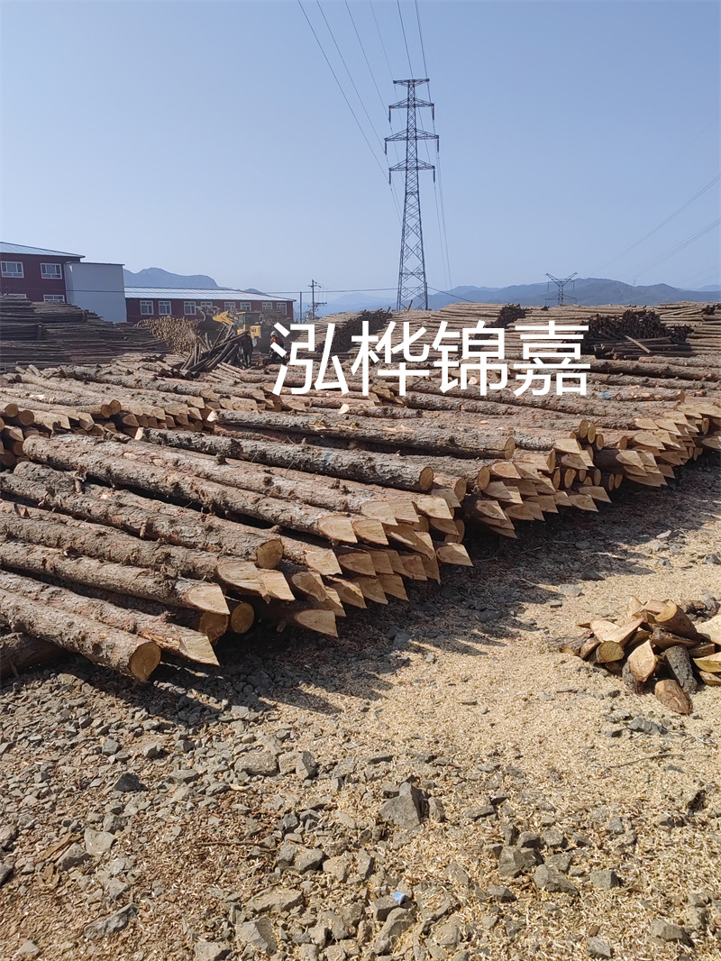 深入了解松木樁基礎(chǔ)施工單價(jià)，助力工程建設(shè)順利進(jìn)行！