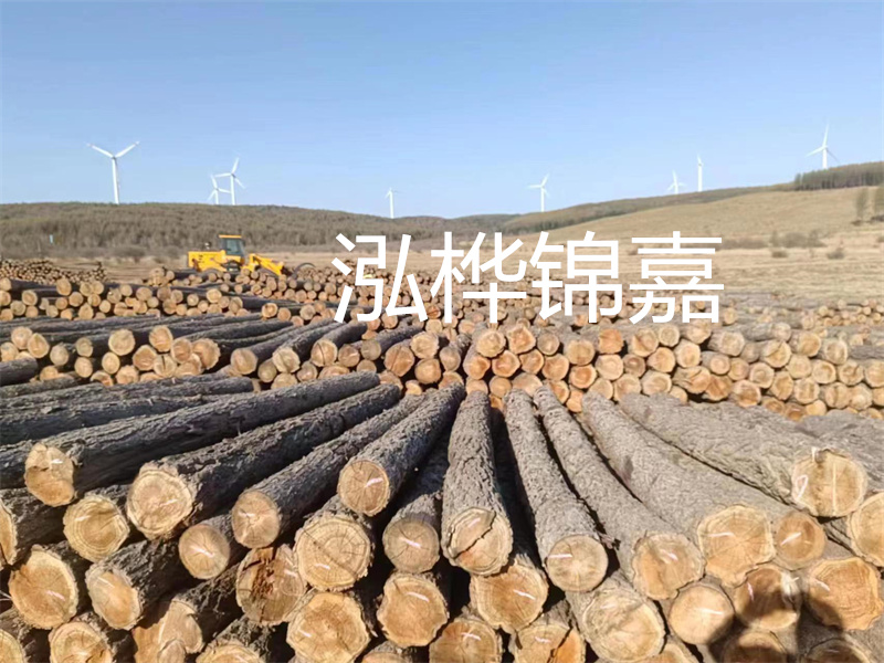 溫州松木樁施工廠家——為您打造堅(jiān)固穩(wěn)定的建筑基礎(chǔ)！