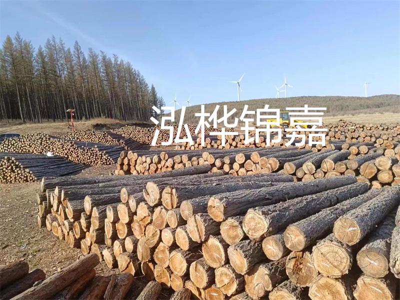 用路基松木樁施工方案提升工程質(zhì)量描述：了解路基松木樁施工方案的重要性，提高工程質(zhì)量關(guān)鍵詞：路基松木樁，施工方案，工程質(zhì)量