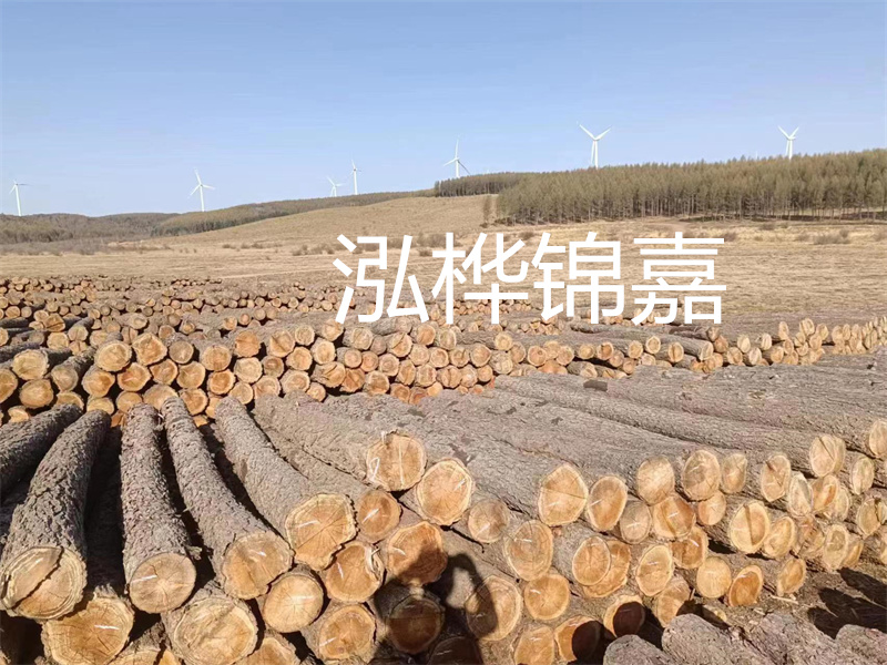 濟(jì)南哪里賣松木木樁？